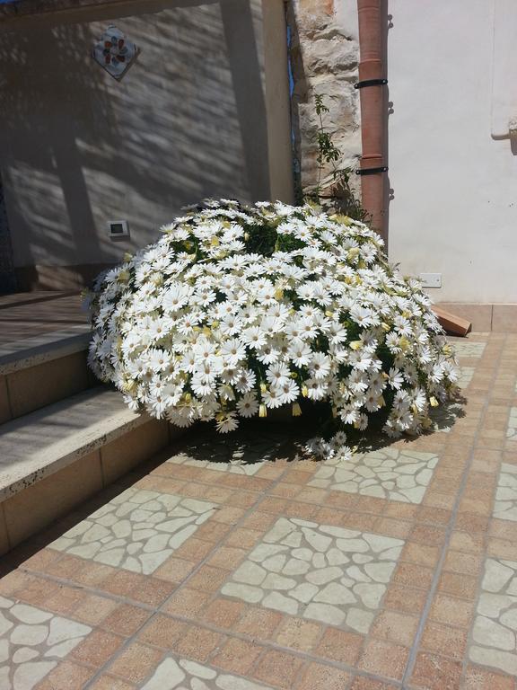 Lovely Cottage カステッランマーレ・デル・ゴルフォ エクステリア 写真
